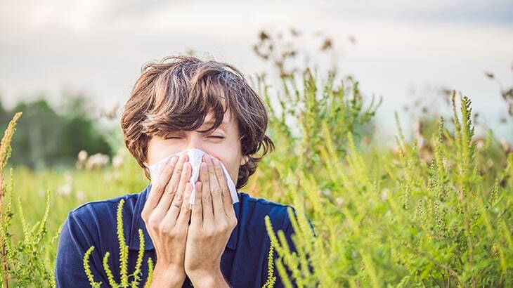 Alerjik Rinit Nedir?