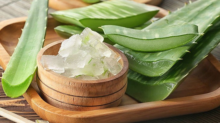 Aloe Vera Nedir? Aloe Vera Faydaları Nelerdir?