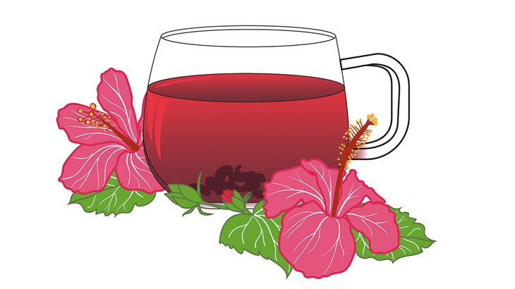 Hibiskus Nedir? Faydaları Nelerdir?