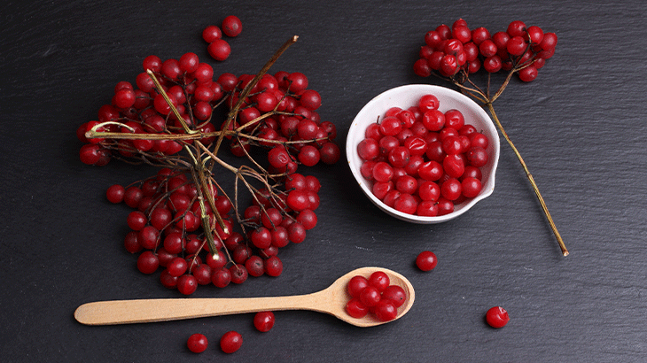 Cranberry (Turna Yemişi) Nedir? Turna Yemişi Faydaları Nelerdir?